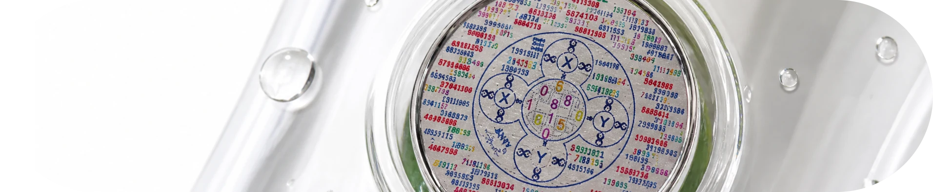 Detail of the Poznik technology tag on the bottle